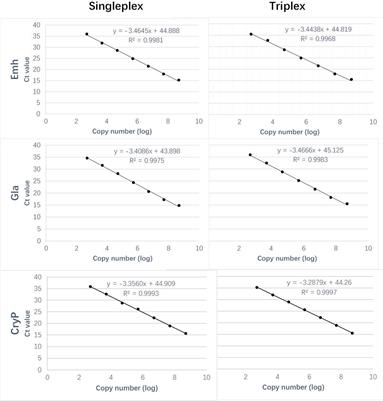 Development and Preliminary Application of a Triplex Real-Time Quantitative PCR Assay for the Simultaneous Detection of Entamoeba histolytica, Giardia lamblia, and Cryptosporidium parvum